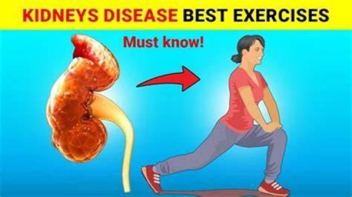 Can exercise damage the kidneys?