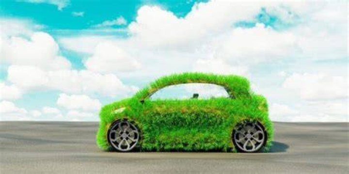 Can vegans drive cars?