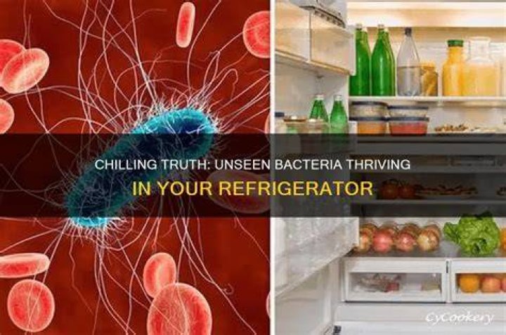 Can Waterpik grow bacteria?