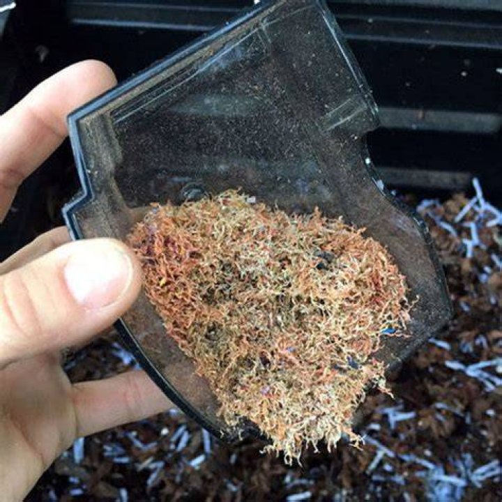 Can you put pencil shavings in compost?