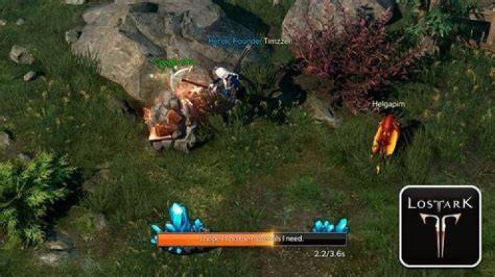 Do you need support in Lost Ark?
