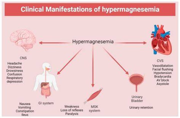 Does magnesium cause high cholesterol?