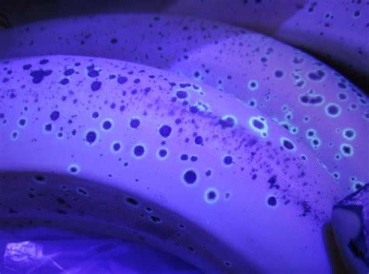 Does sweat glow under black light?
