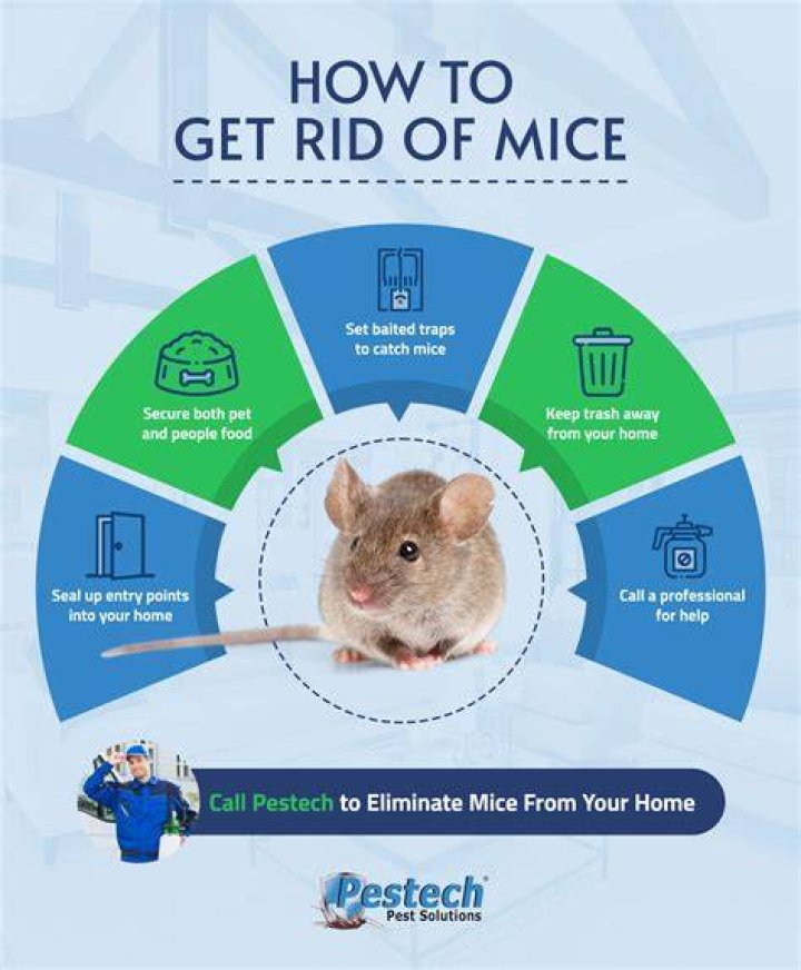 How do you keep mice away naturally?