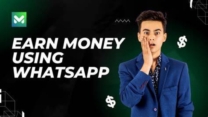 How does WhatsApp earn money?