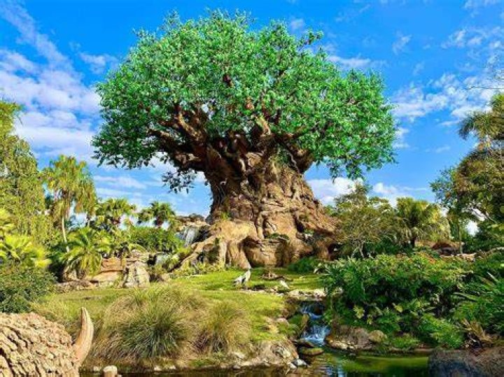 Is the tree of life a real tree?