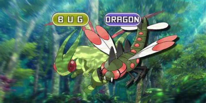 Is there a Bug dragon type Pokémon?