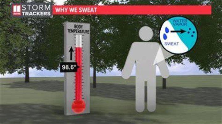 Should I wait for sweat to dry before shower?