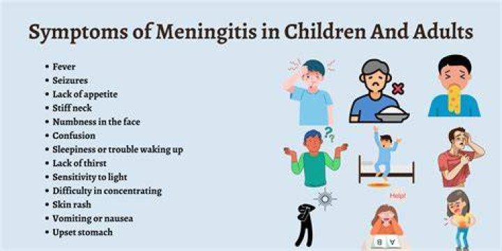 What are 6 symptoms of meningitis?