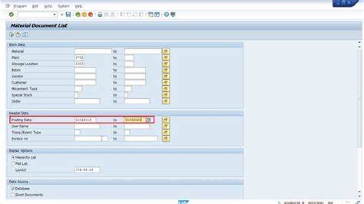 What are SAP programs?
