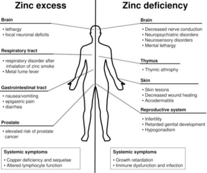 What are the side effects of excess zinc?