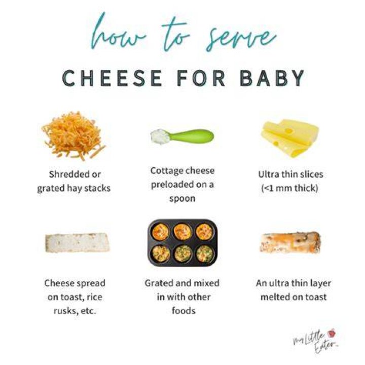 What cheese can baby eat?