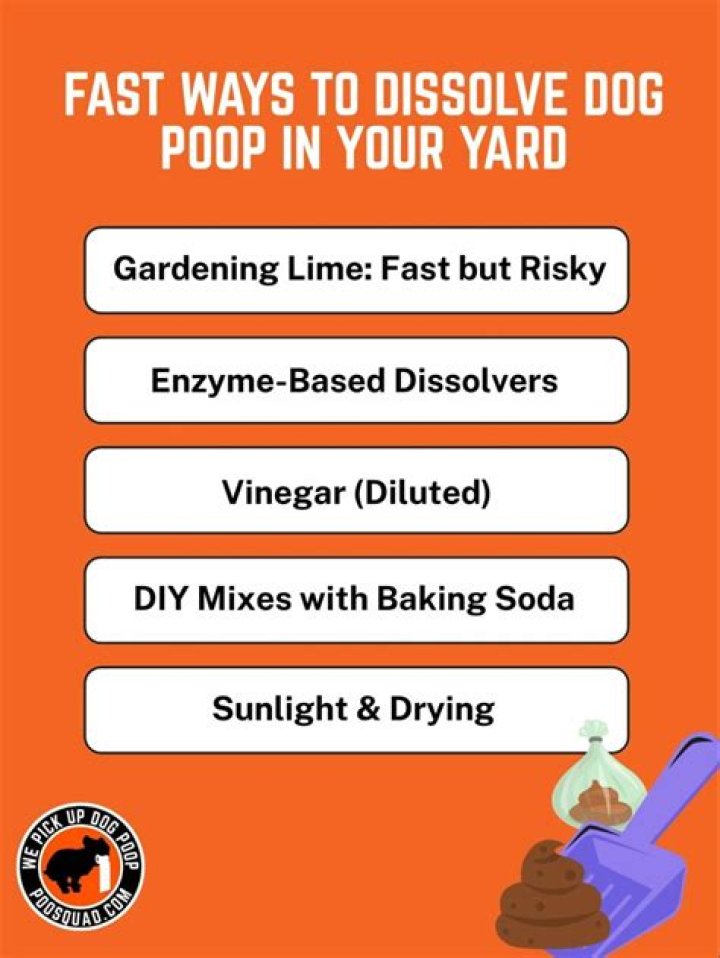 What dissolves poop fast?