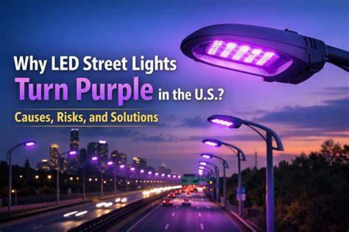 What do the purple lights mean?