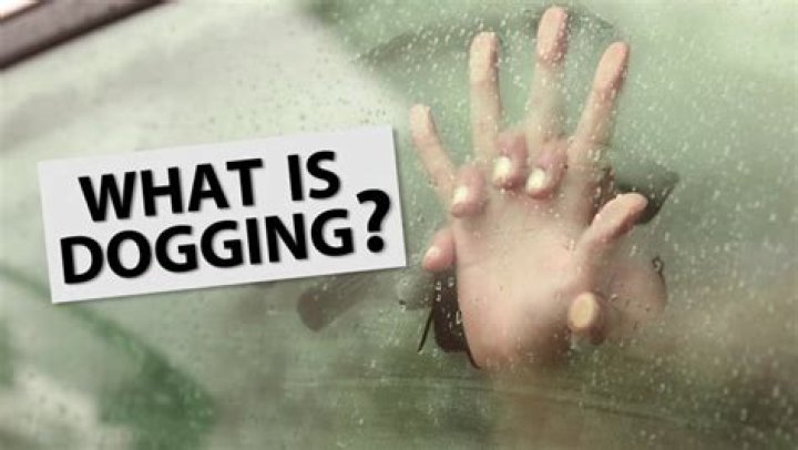 What does dogging someone mean?