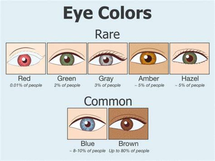 What eye Colour is the rarest?