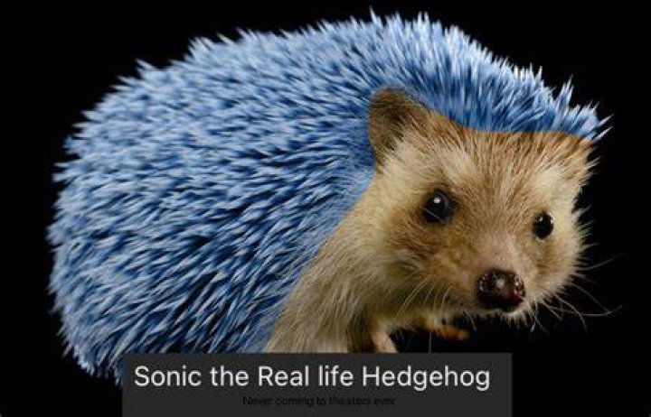 What is Sonic's real name?