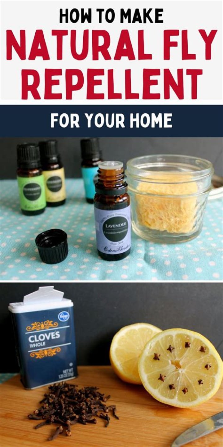 What is the best homemade fly repellent?