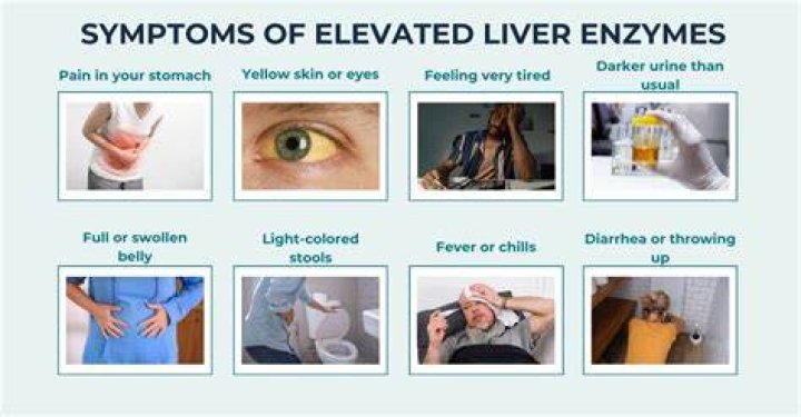 What is the most common reason for elevated liver enzymes?