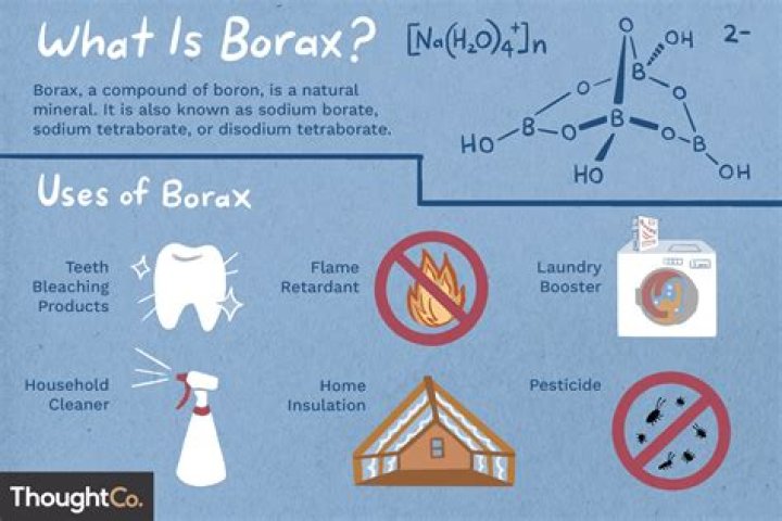 What was borax used for in the 1800's?