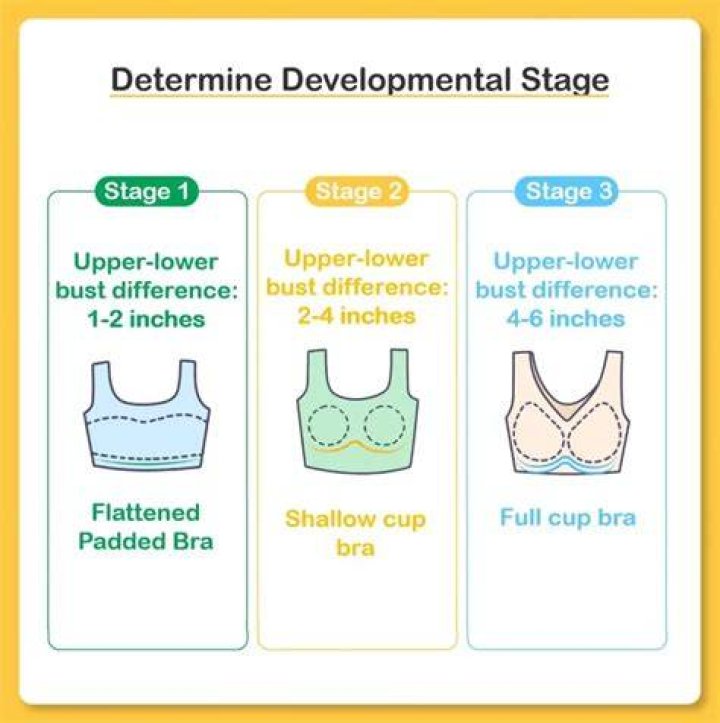 When do girls start wearing bras?