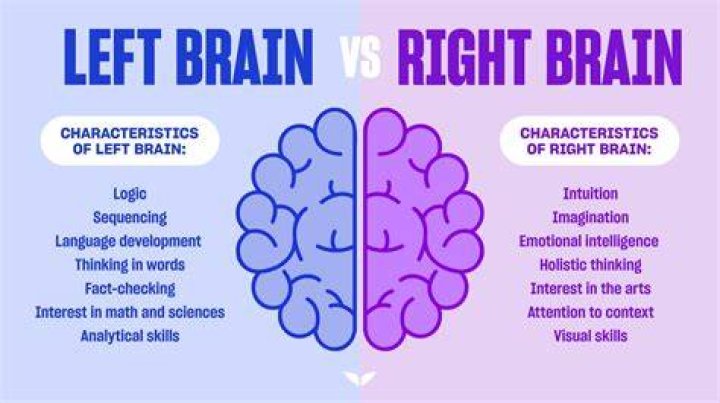 Who is smarter left or right brain?