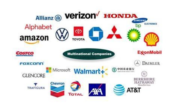 Who owns a multinational company?