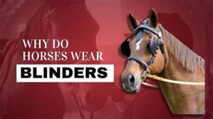 Why do horses flip over?