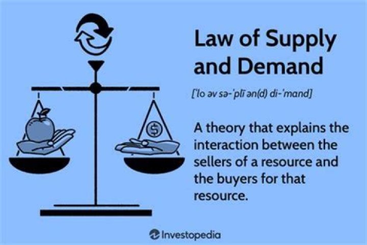 Why is law of demand important?